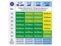 Compresor anvelopa ALCA, 12V, 17 bar