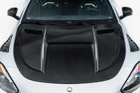 Ornamente bara fata AMG GT v1